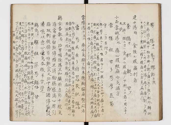 K0118s0028