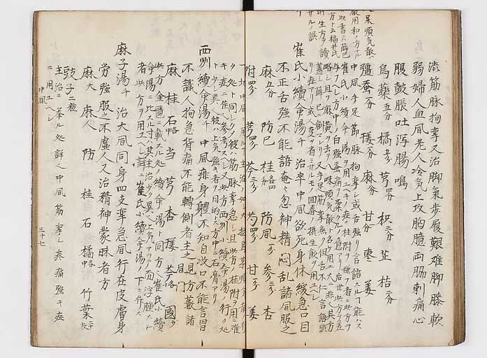 K0118s0038