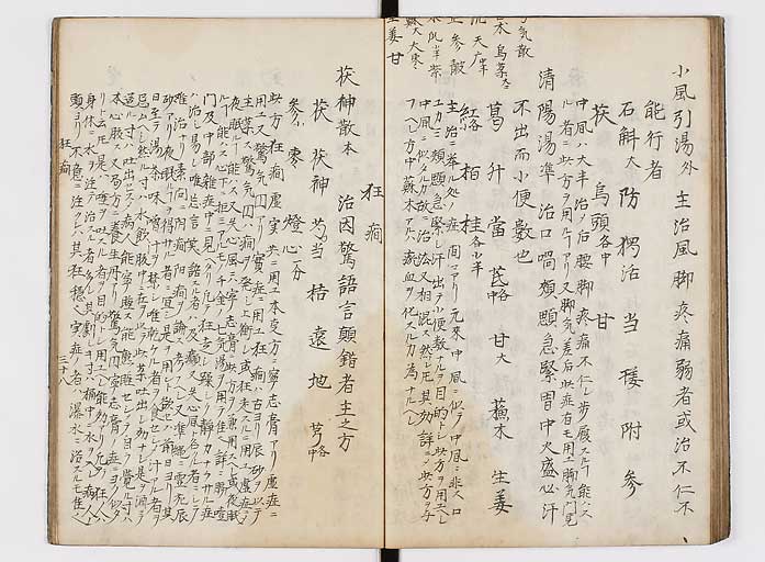 K0118s0039