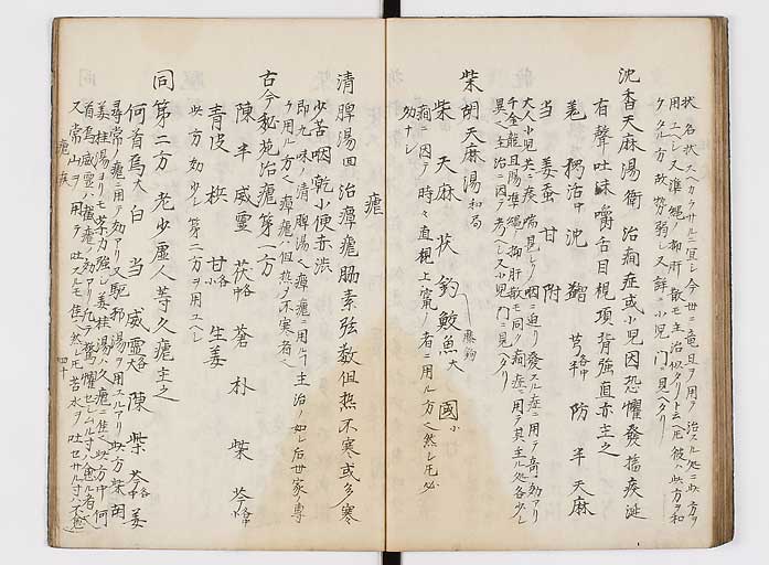 K0118s0041