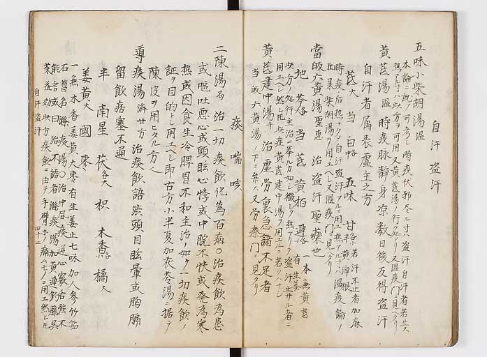K0118s0043