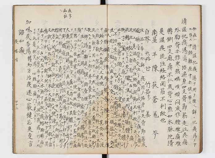 K0118s0044