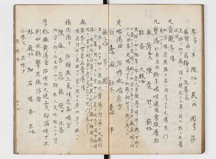 K0118s0045