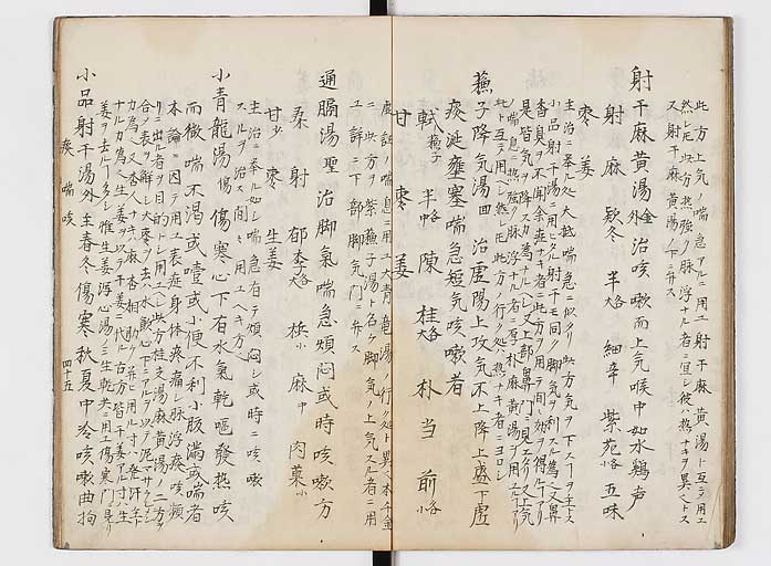 K0118s0046