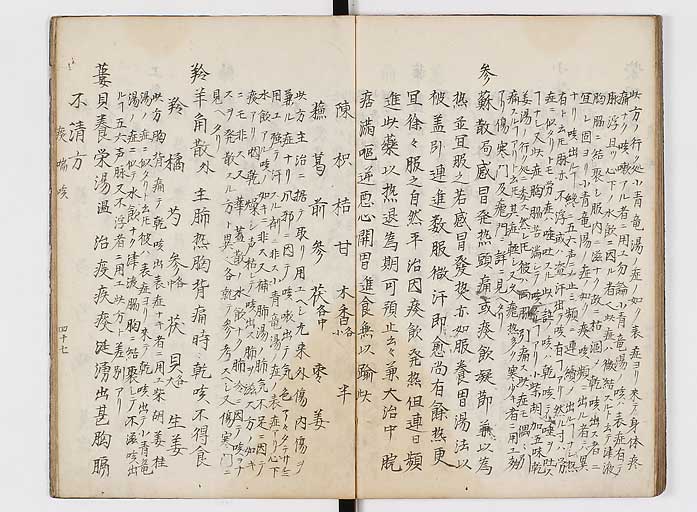 K0118s0048