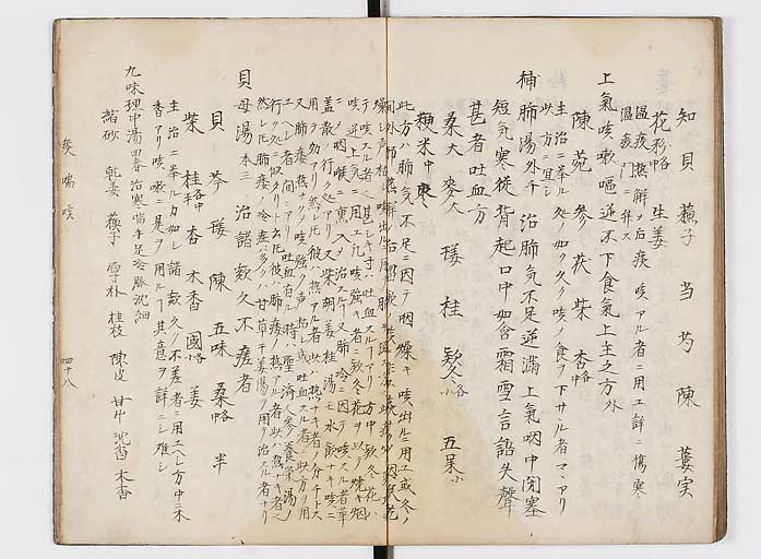 K0118s0049