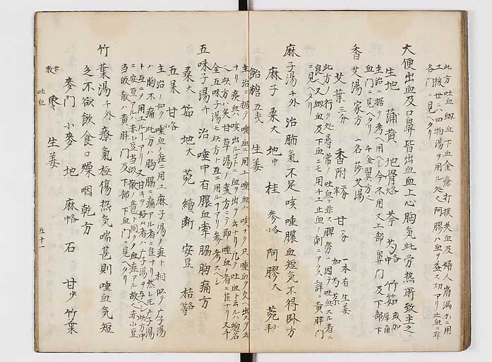 K0118s0052