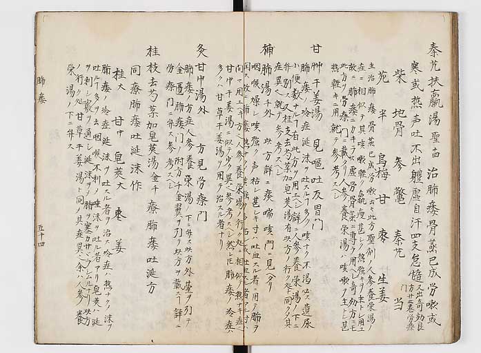 K0118s0055