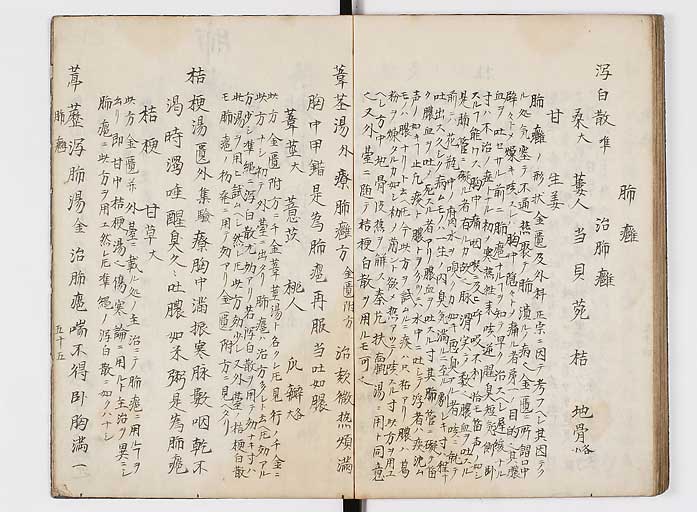 K0118s0056