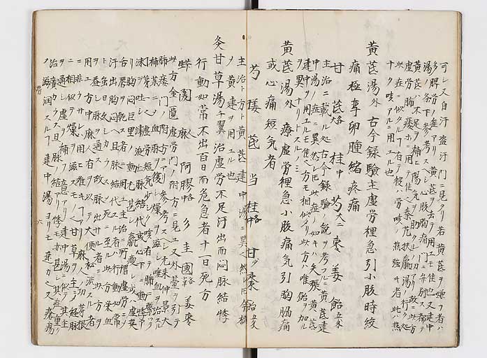 K0118s0066