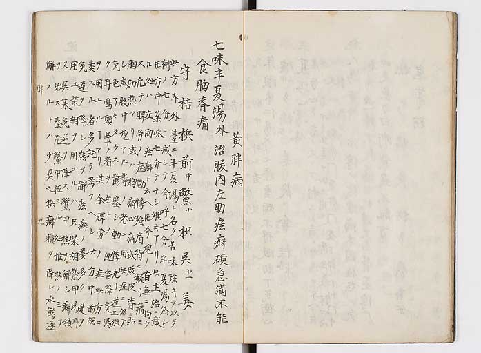 K0118s0069