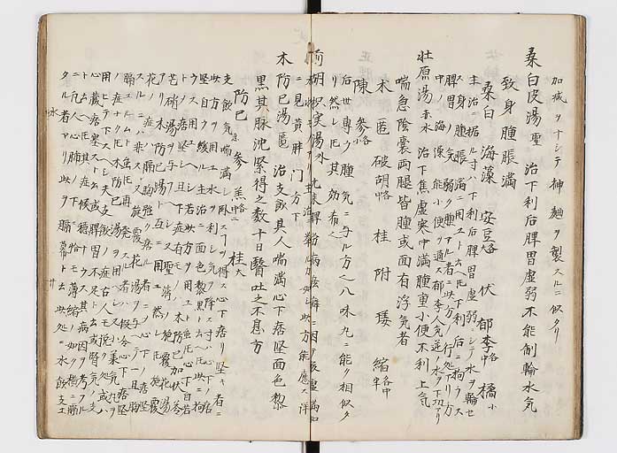 K0118s0080
