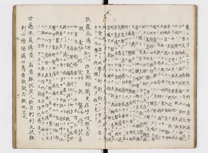 K0118s0081
