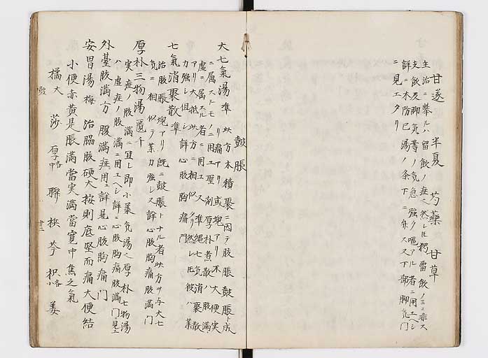 K0118s0082