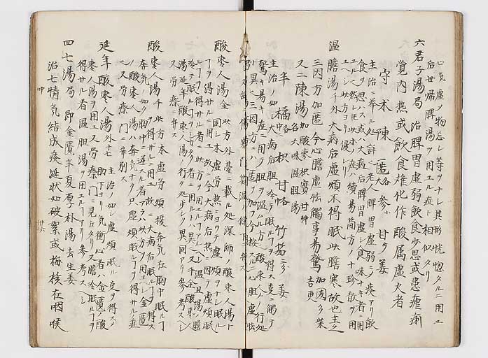 K0118s0086