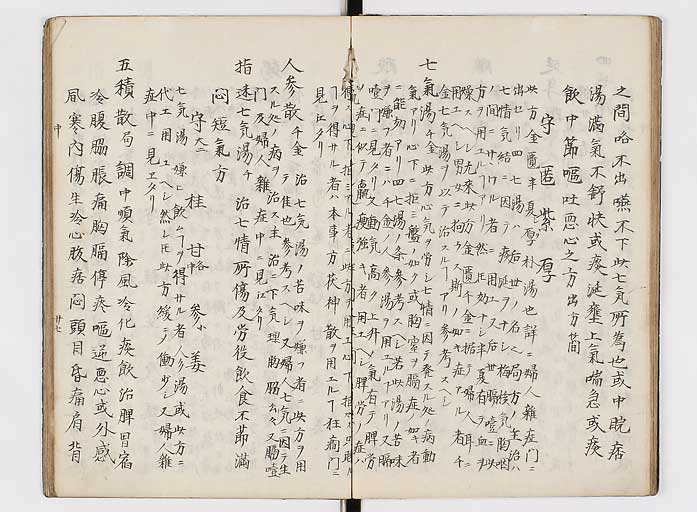 K0118s0087