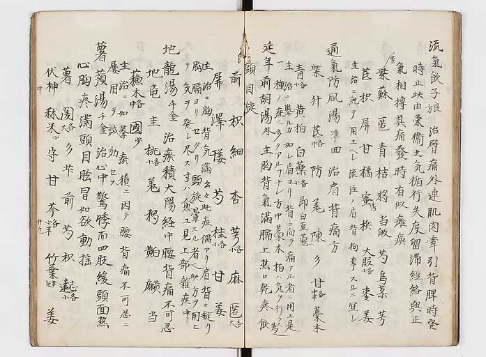 K0118s0089
