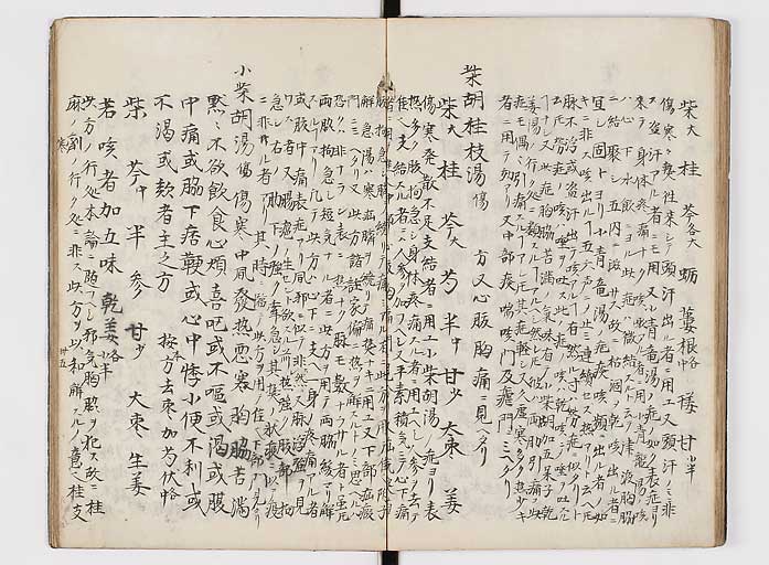 K0118s0095