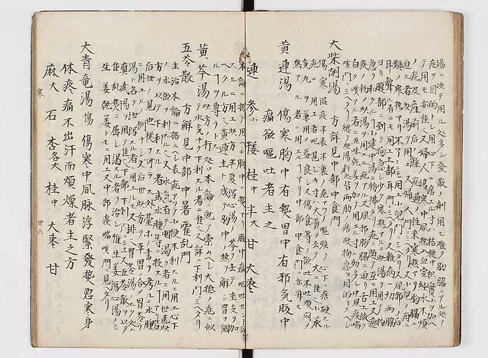 K0118s0096