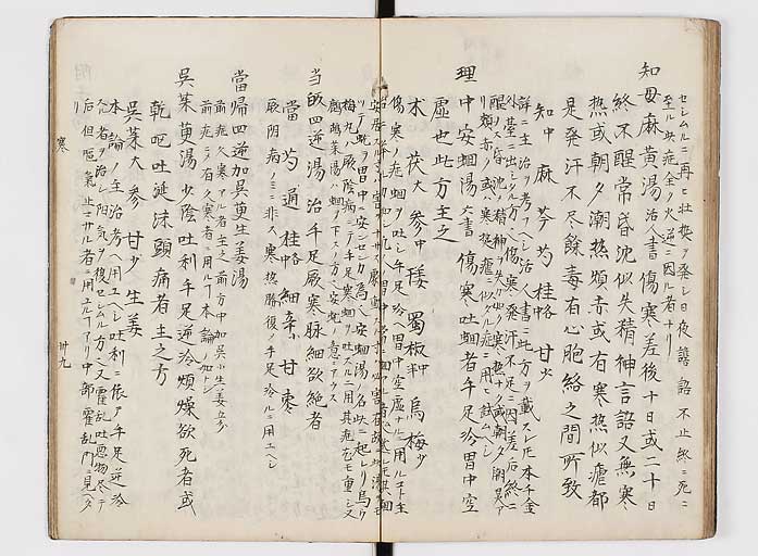 K0118s0099