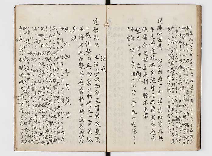 K0118s0101
