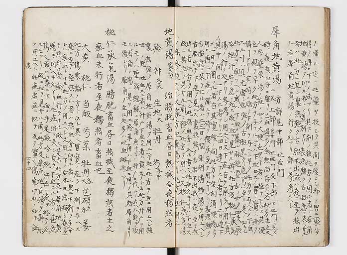 K0118s0104