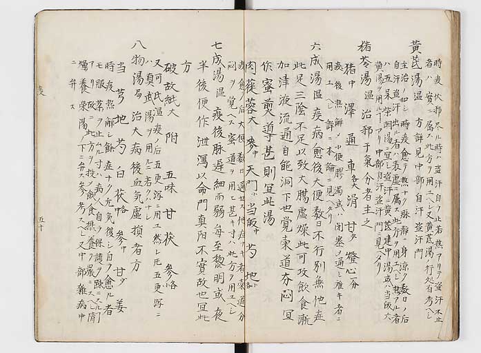 K0118s0110