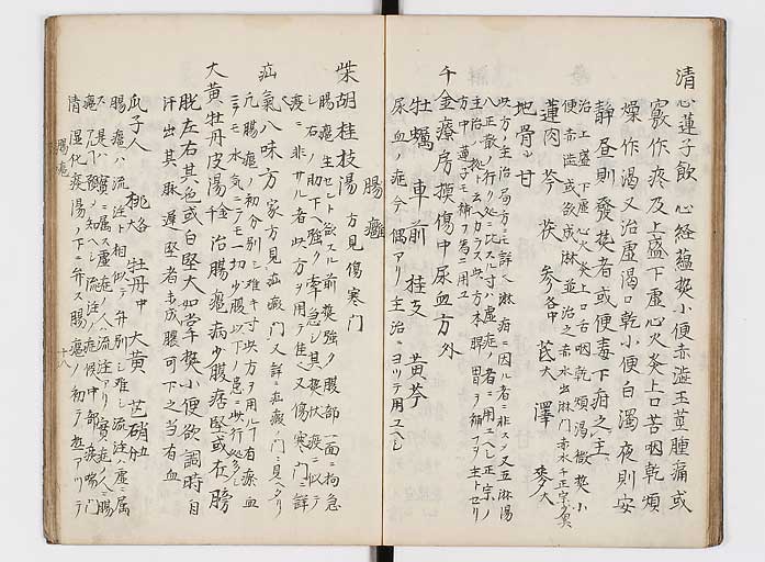 K0118s0133