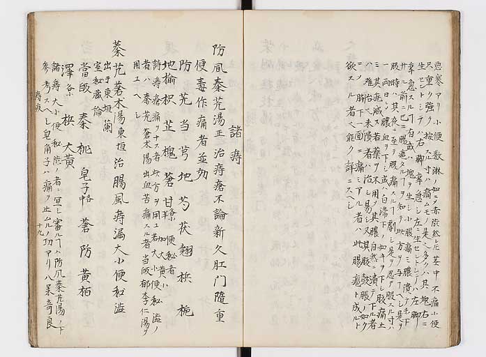 K0118s0134