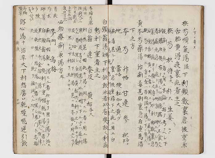 K0118s0139