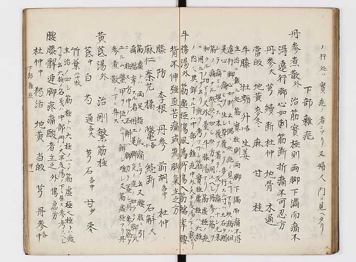 K0118s0146