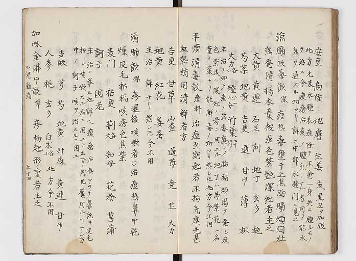 K0118s0169