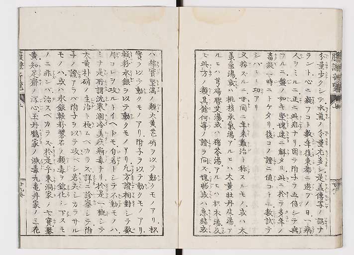 K0119s0036