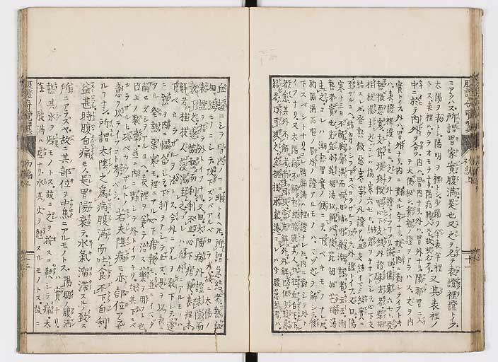 K0120s0019
