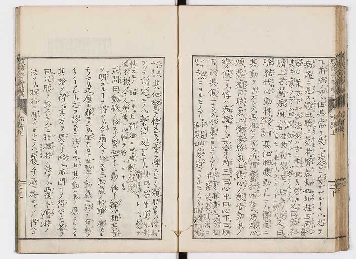 K0120s0029