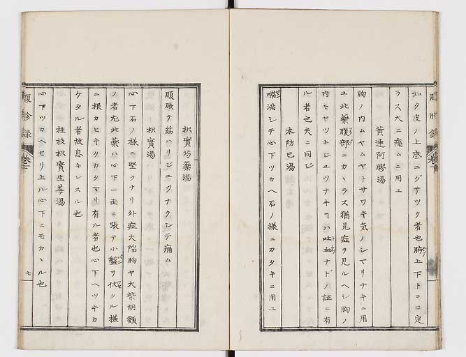 K0121s0029