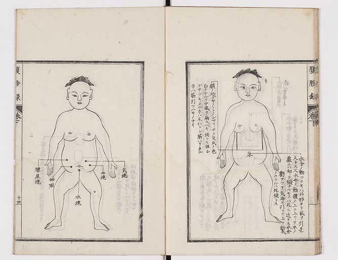 K0121s0036