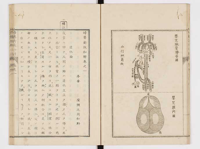 K0122s0015