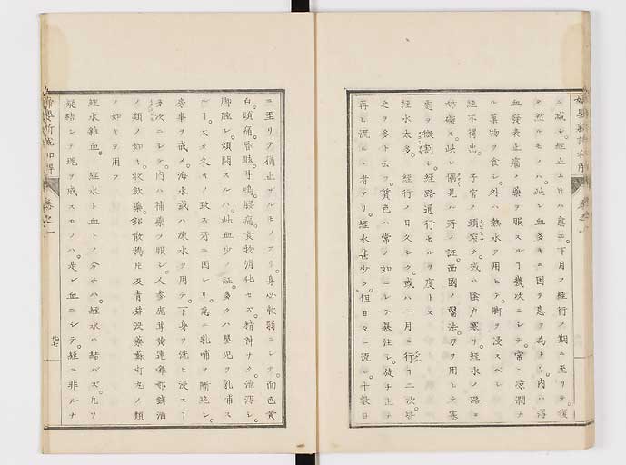 K0122s0041