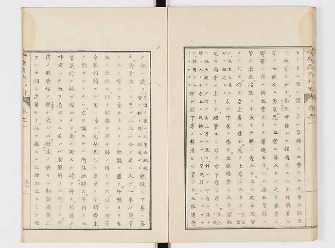 K0122s0046