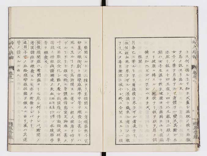 K0123s0016