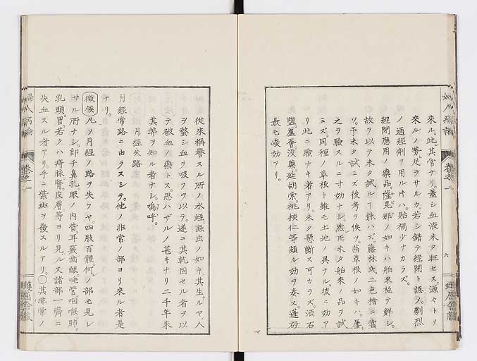 K0123s0019