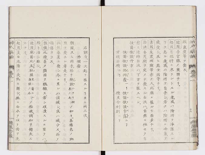 K0123s0026