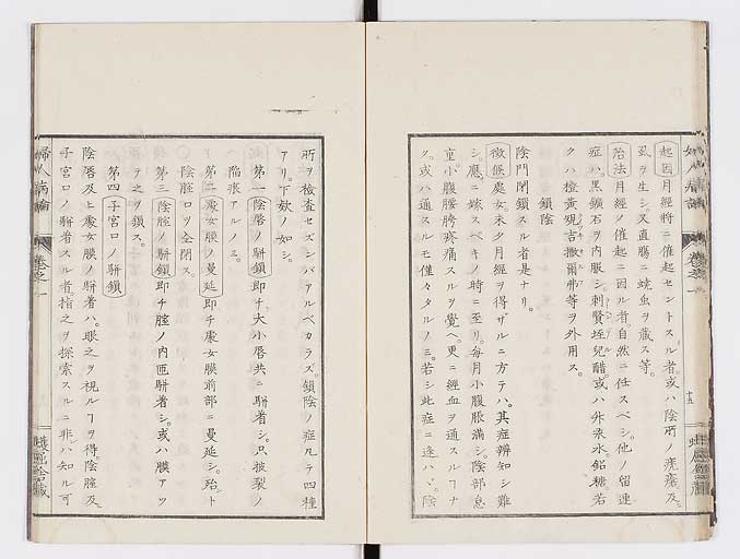 K0123s0028