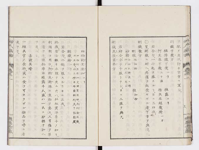 K0123s0031