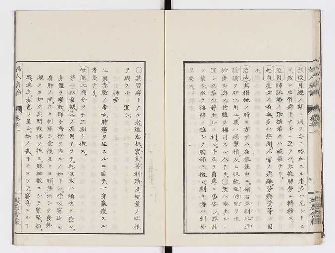K0123s0033