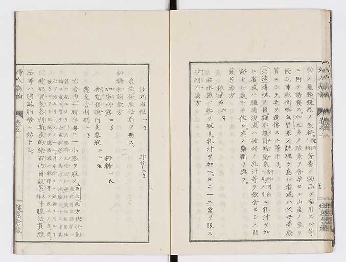 K0123s0035