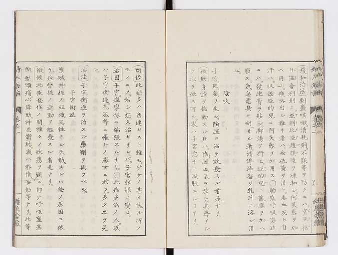 K0123s0036