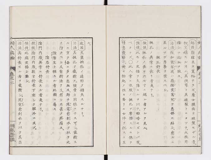K0123s0047
