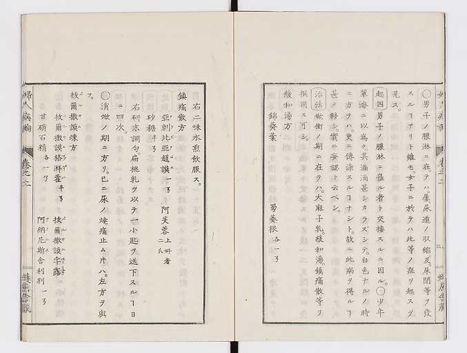 K0123s0049